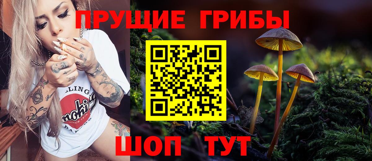 Псилоцибиновые грибы ЛСД Черняховск